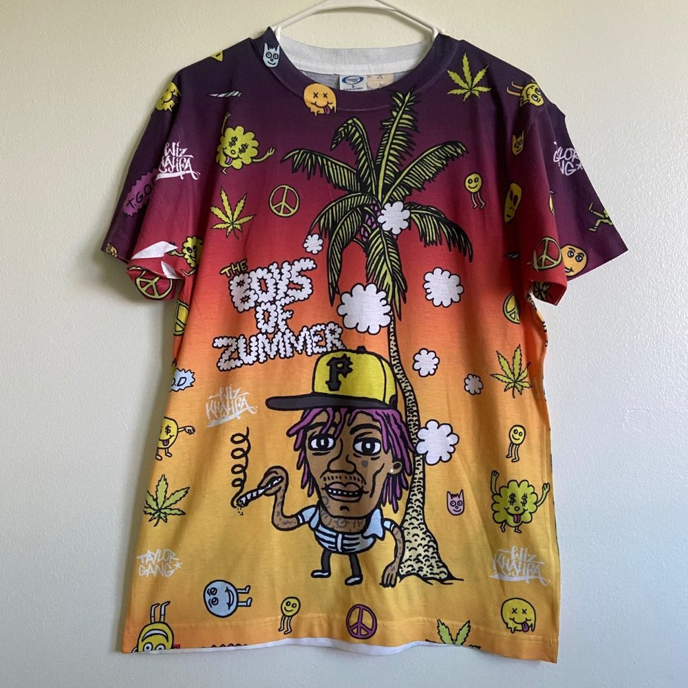 Wiz Khalifa The Boys Of Zummer Tour T-Shirt Mens Small Rap Music Fall Out Boy